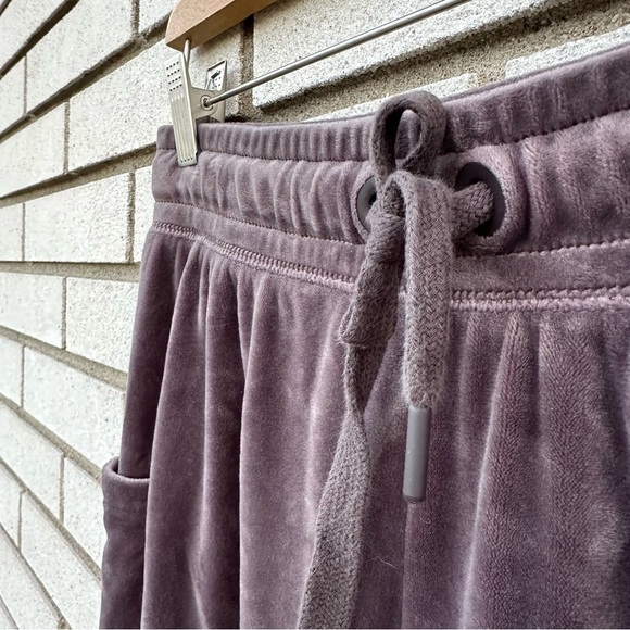 Offline by Aerie After Party Velour Jogger University Grey - Picture 6 of 14